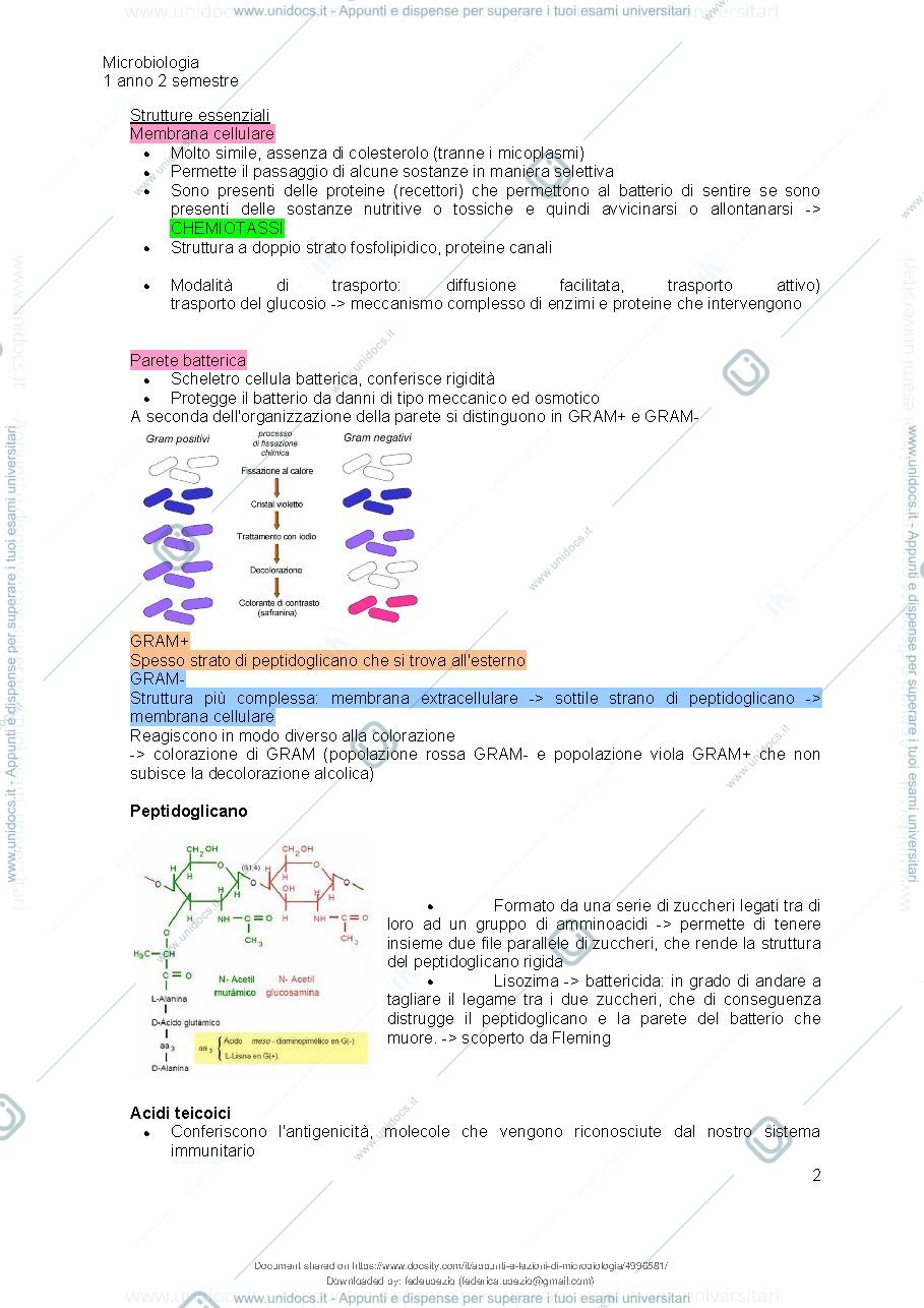 Anteprima pagina 3 — Microbiologia