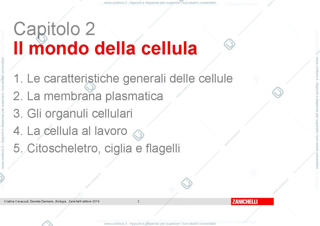 Anteprima pagina 2 — cellula eucariote