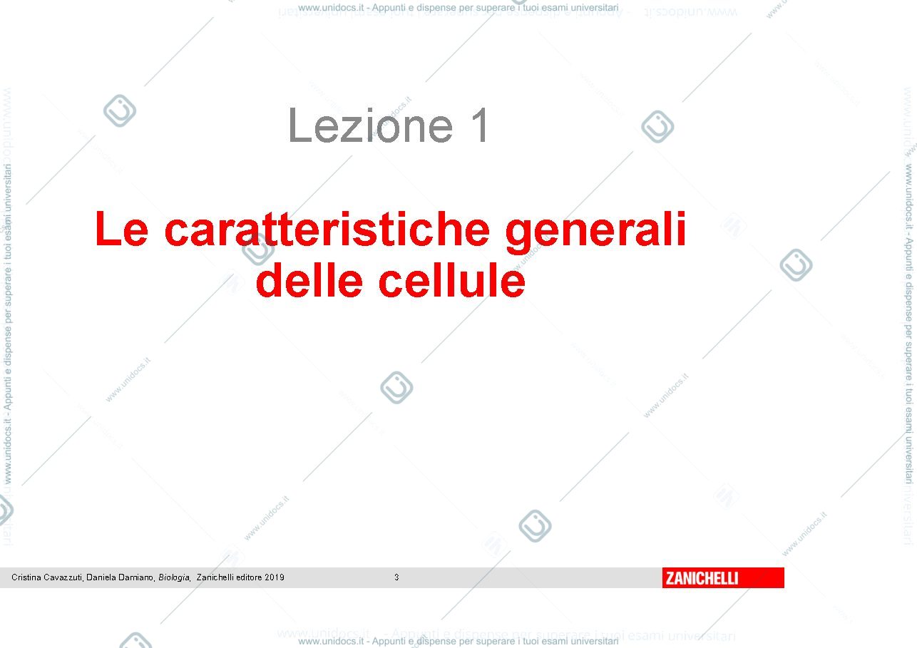 Anteprima pagina 3 — cellula eucariote