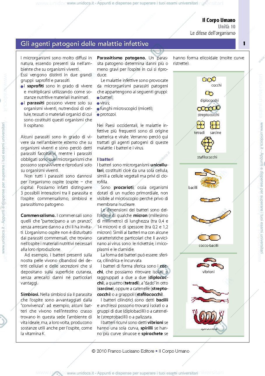 Anteprima pagina 1 — Batteri e virus