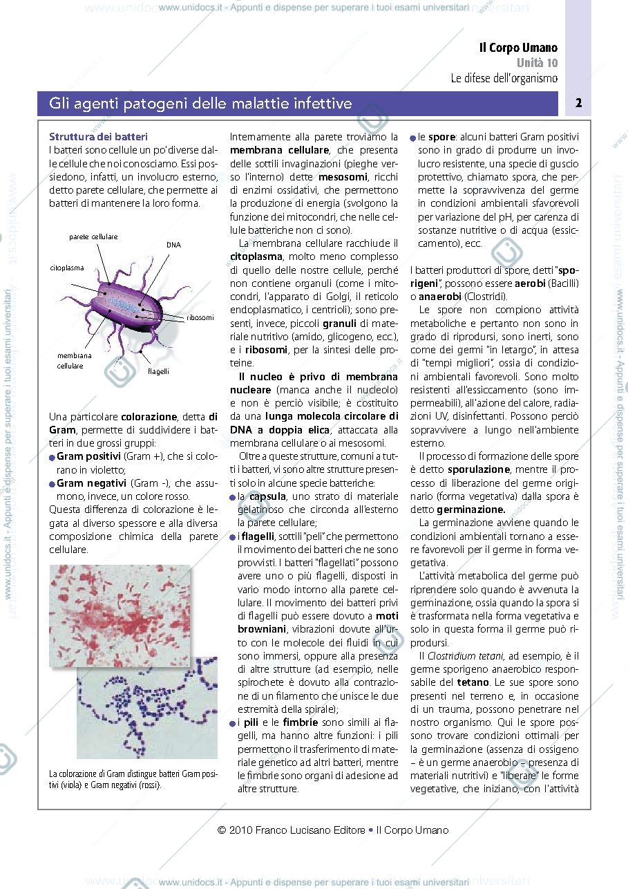 Anteprima pagina 2 — Batteri e virus