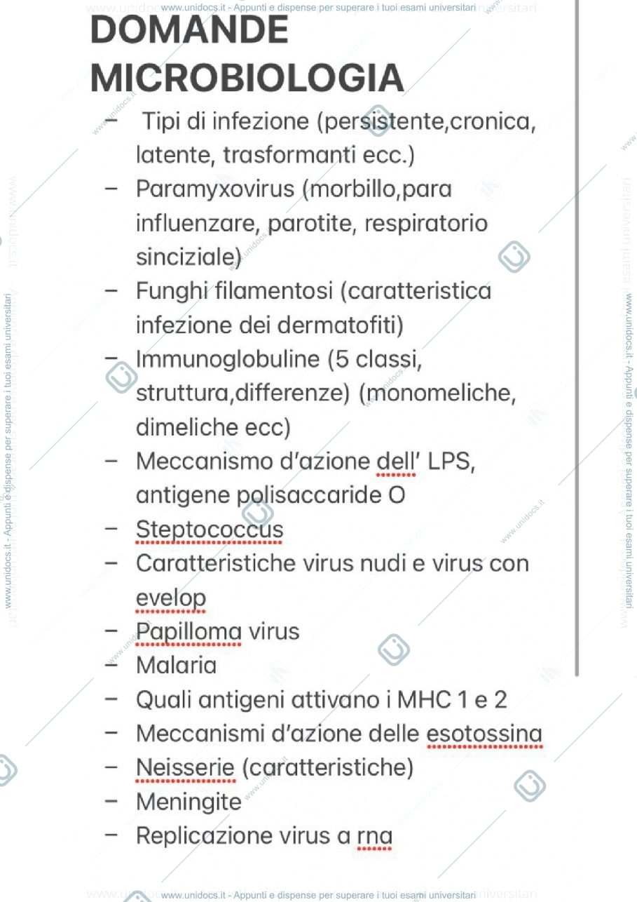 Anteprima pagina 1 — Domande