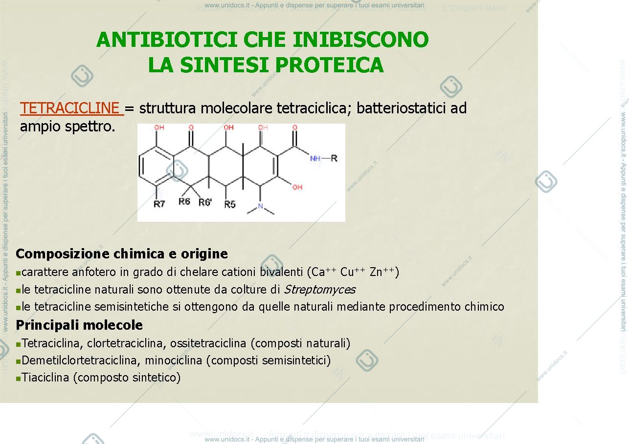 Anteprima pagina 2 — antibiotici 2