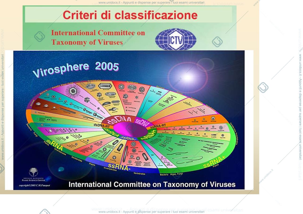 Anteprima pagina 2 — Classificazione virus
