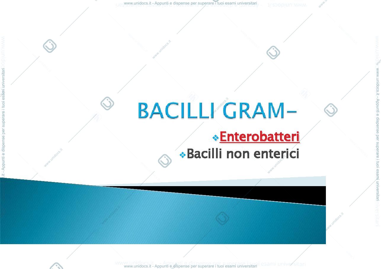 Anteprima pagina 1 — enterobatteri Gram negativi
