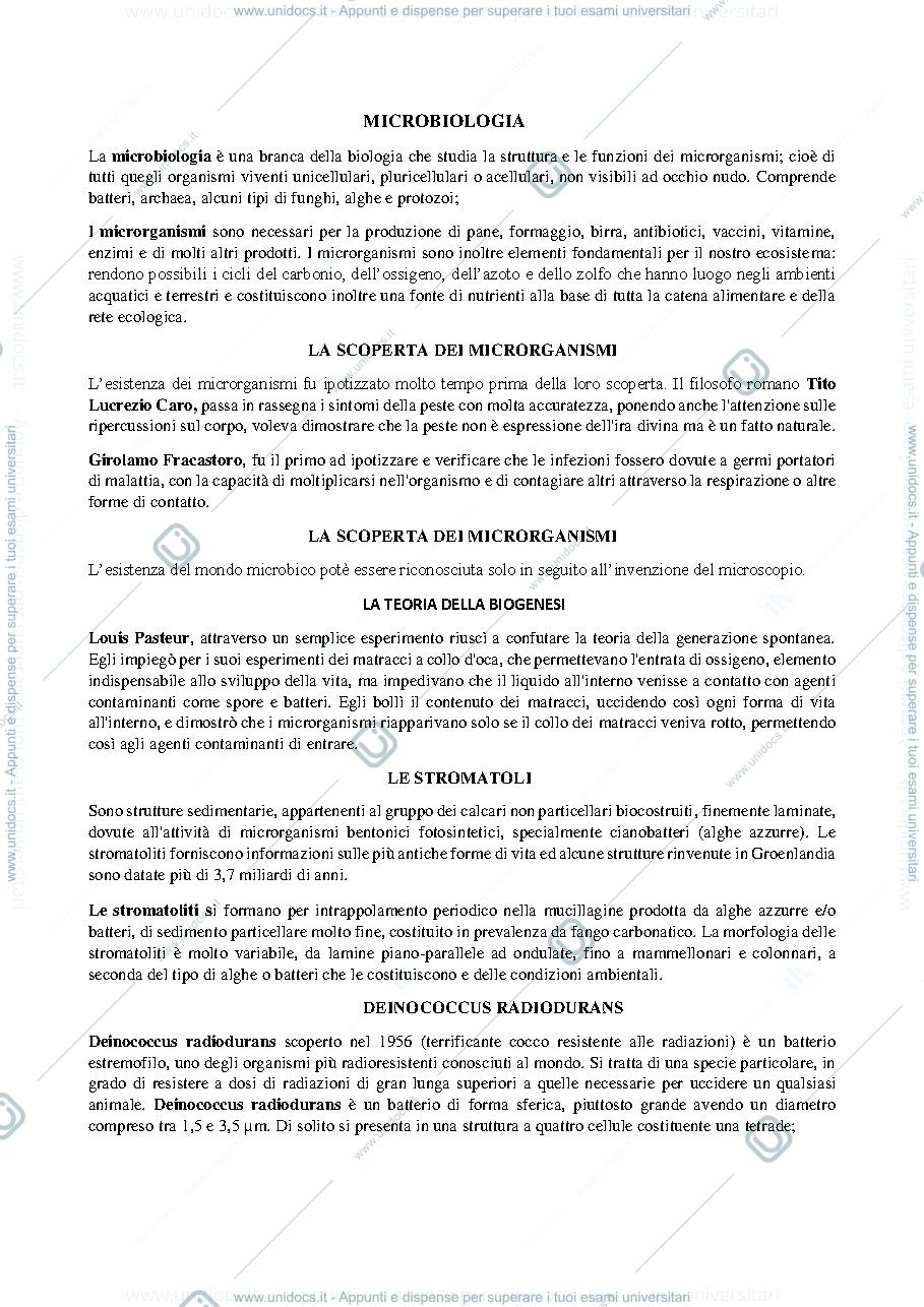 Anteprima pagina 1 — anatomia batterica 