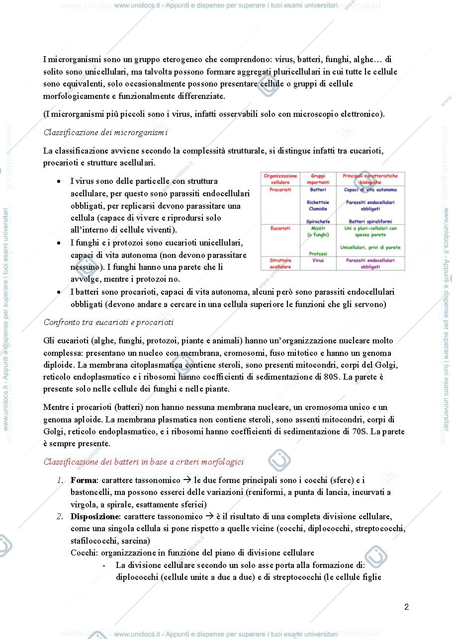 Anteprima pagina 2 — Microbiologia 