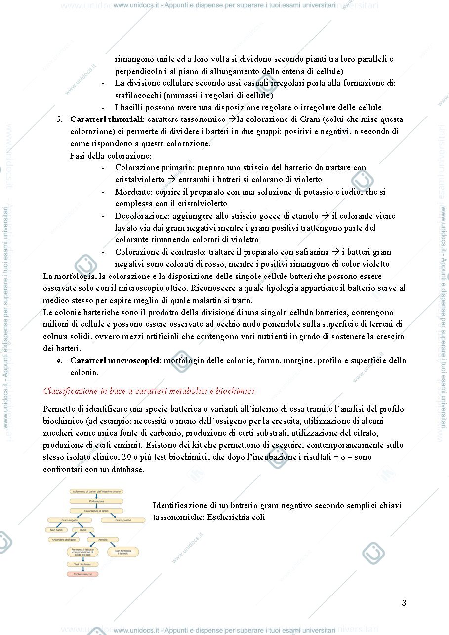 Anteprima pagina 3 — Microbiologia 