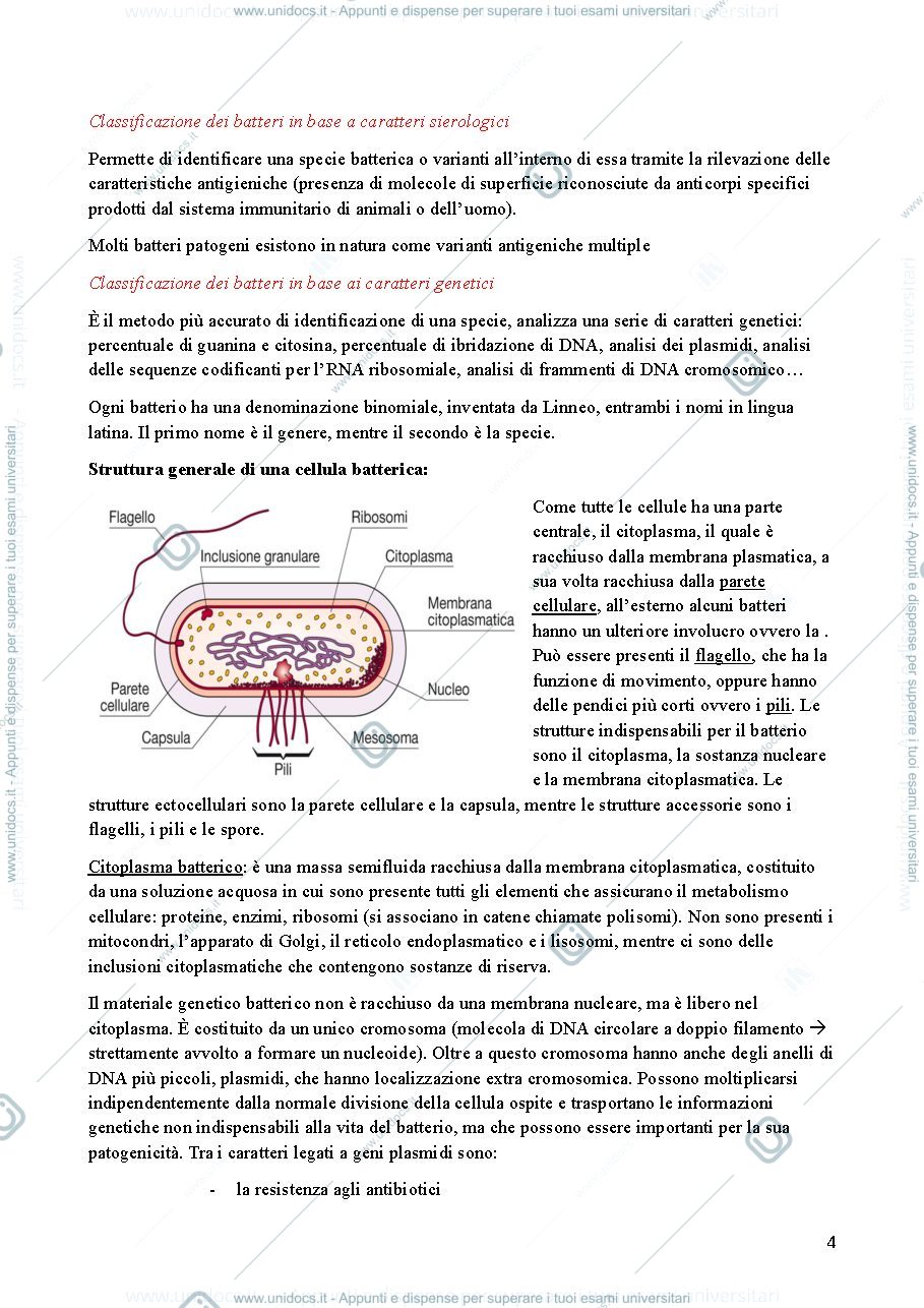 Anteprima pagina 4 — Microbiologia 