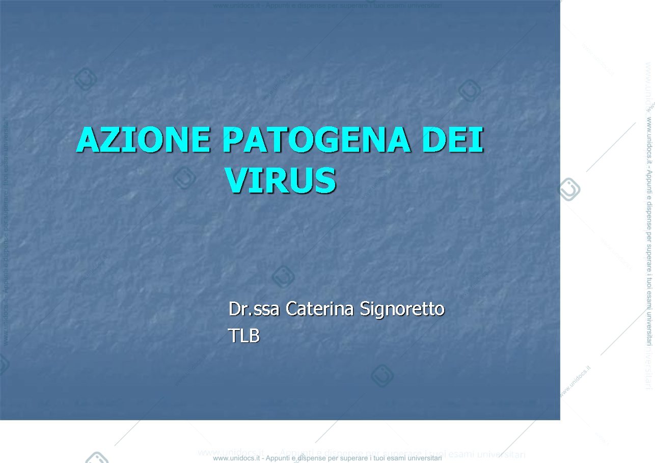 Anteprima pagina 1 — i virus 2