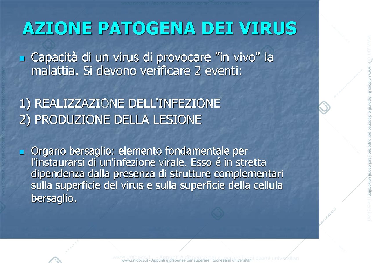 Anteprima pagina 2 — i virus 2