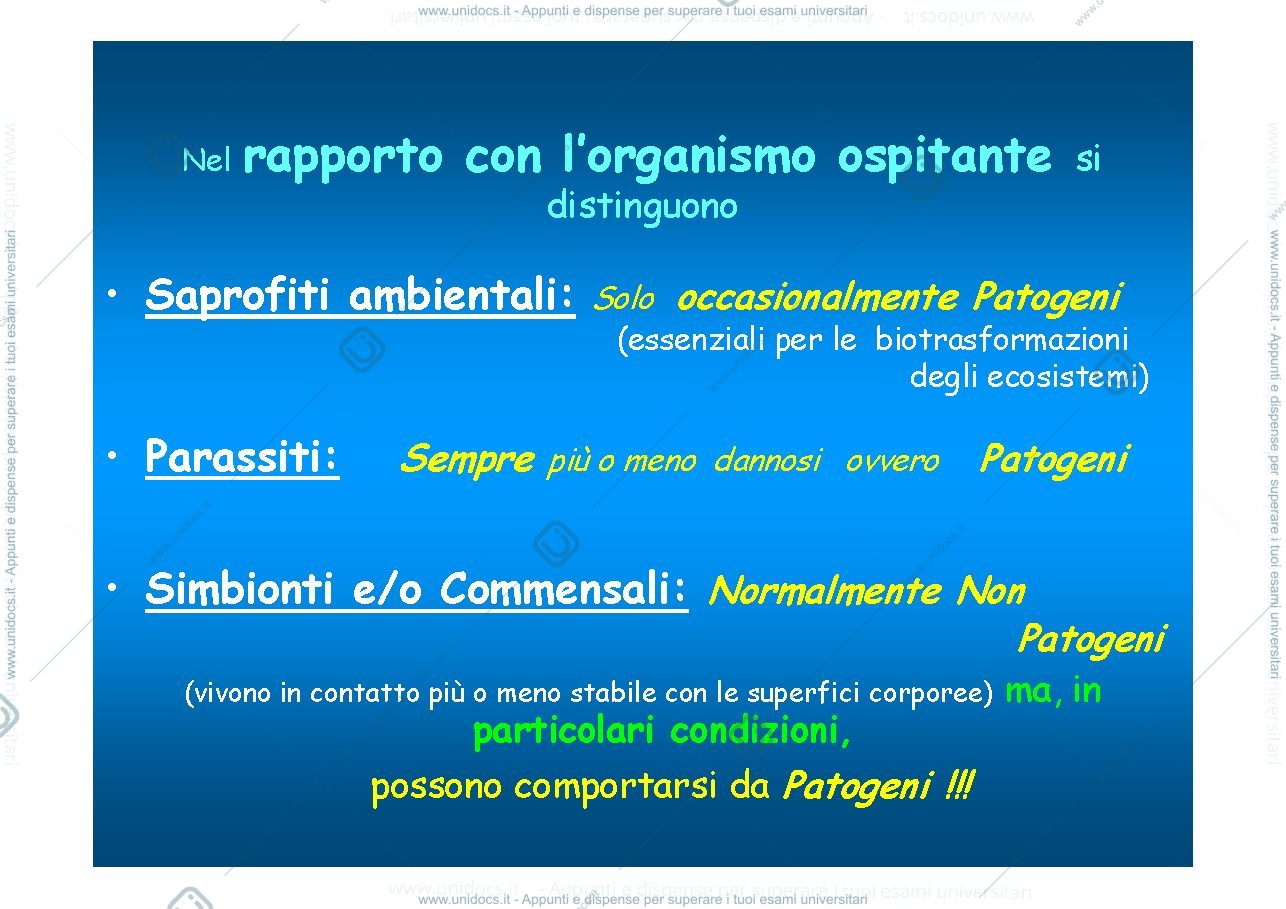 Anteprima pagina 3 — LEZIONE 1 - microbiologia