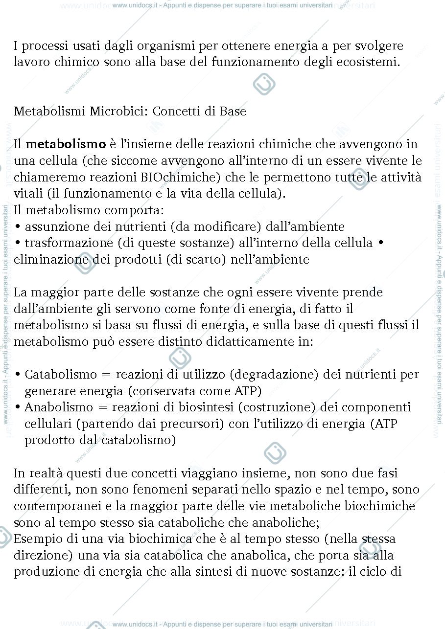 Anteprima pagina 3 — Microbiologia