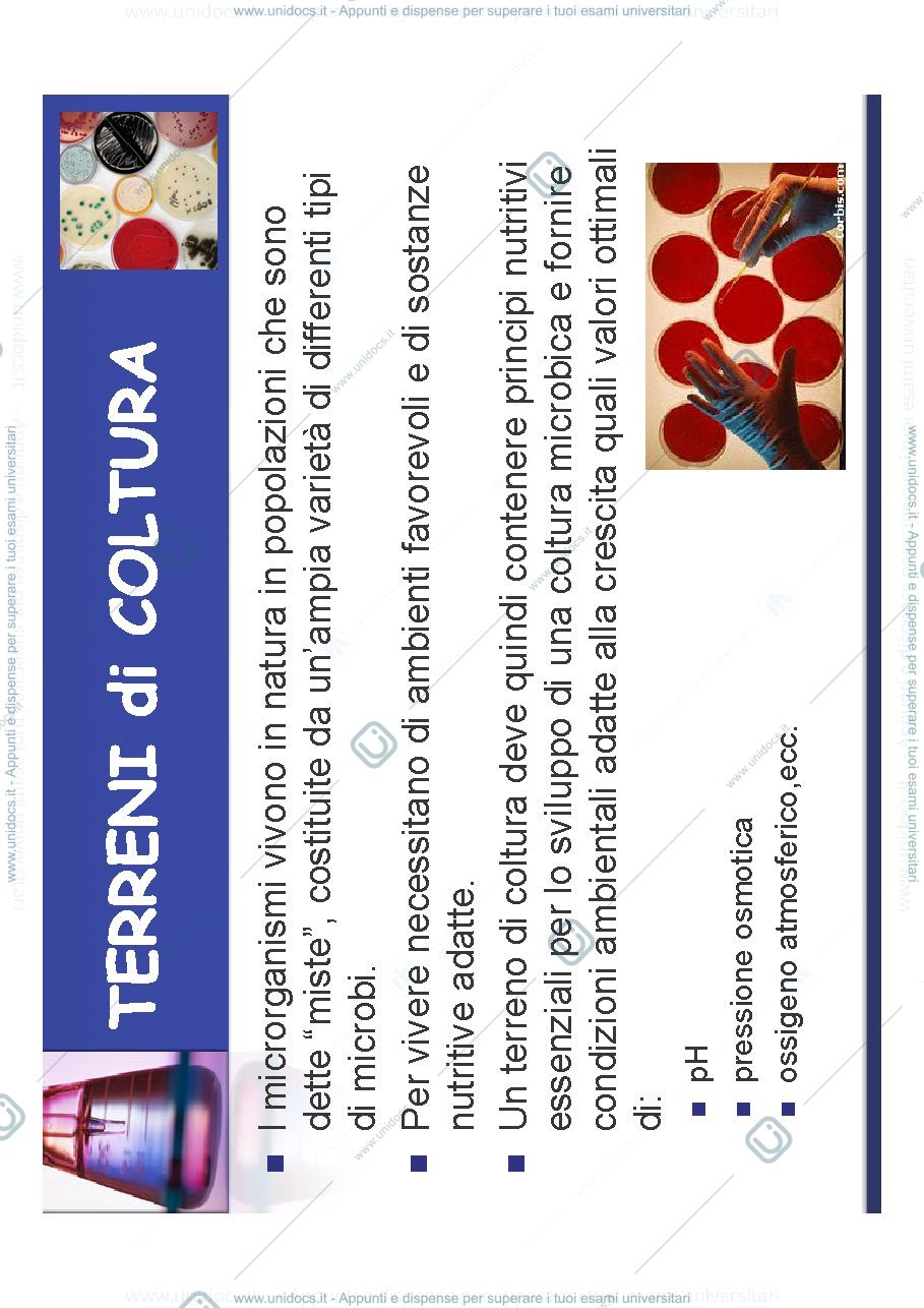 Anteprima pagina 2 — terreni coltura 