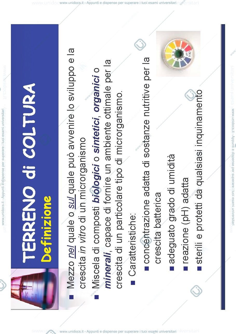 Anteprima pagina 3 — terreni coltura 