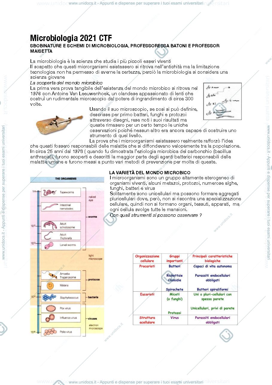 Anteprima pagina 2 — appunti di microbiologia 