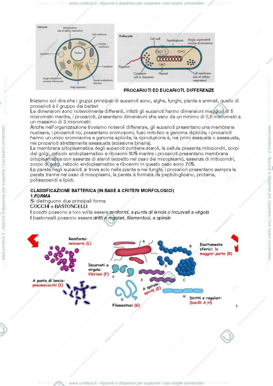 Anteprima pagina 3 — appunti di microbiologia 