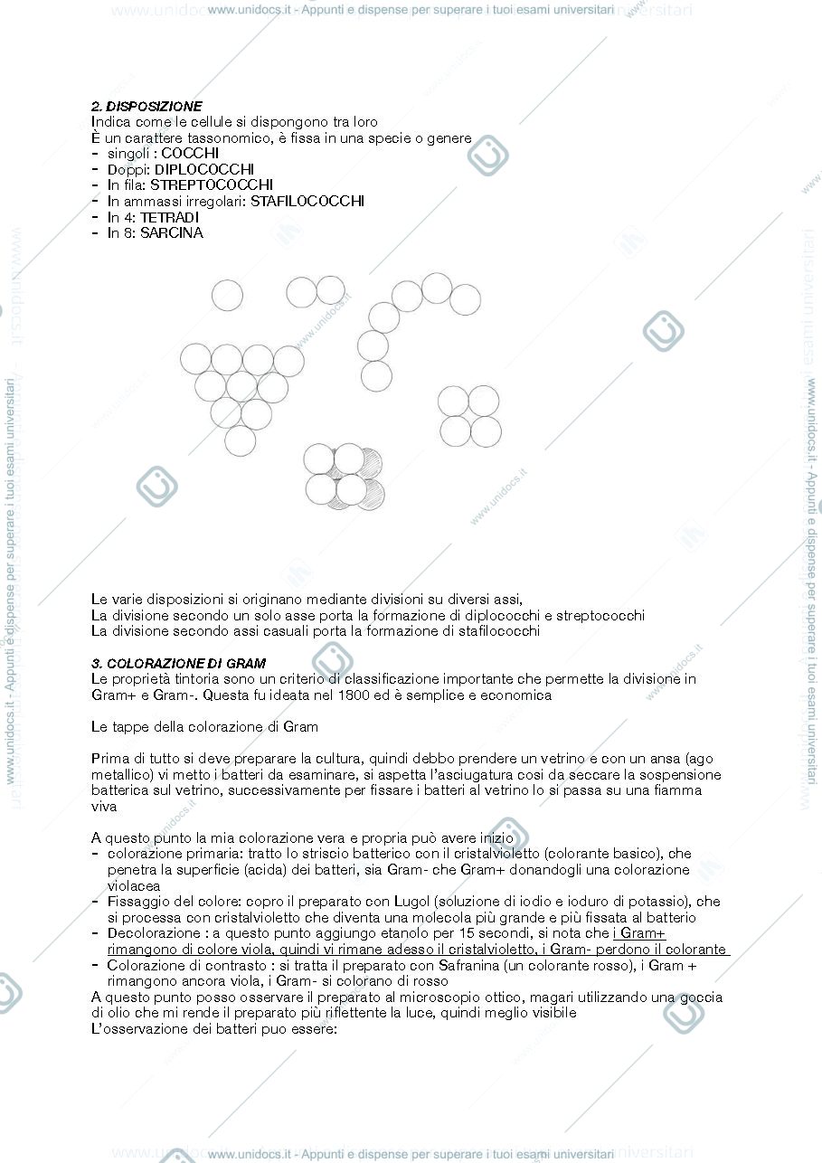 Anteprima pagina 4 — appunti di microbiologia 