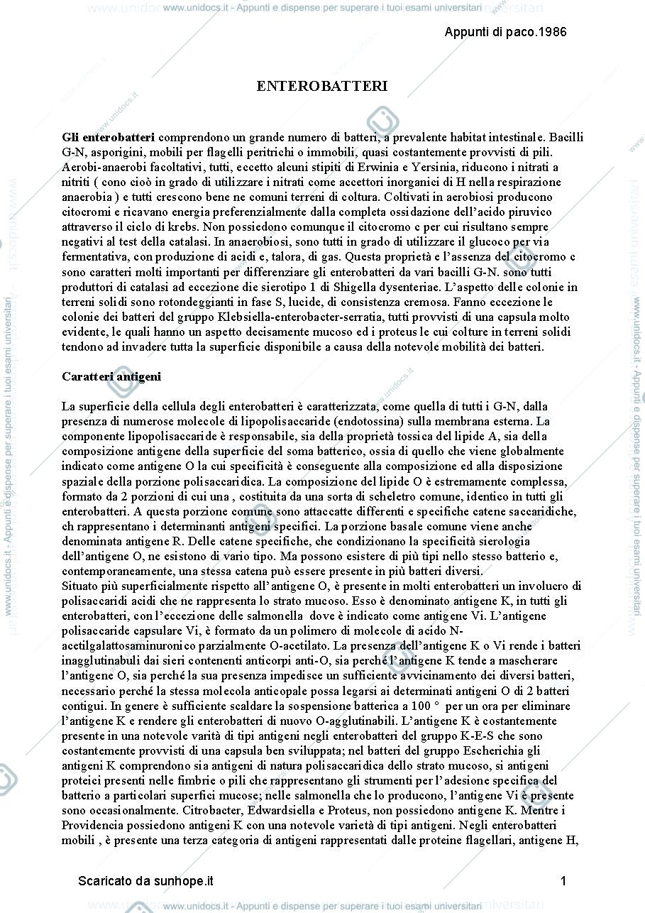 Anteprima pagina 1 — ENTEROBATTERI