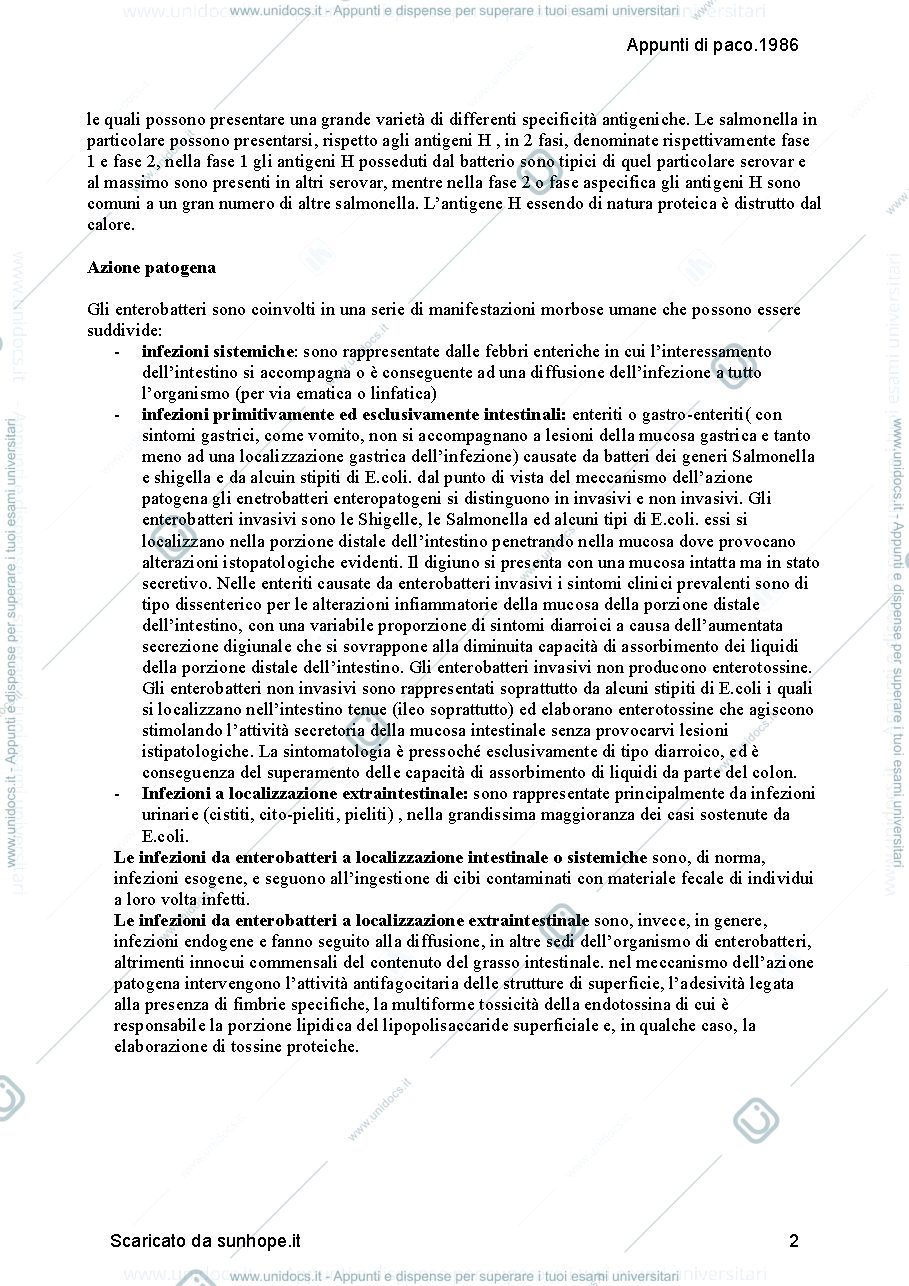 Anteprima pagina 2 — ENTEROBATTERI