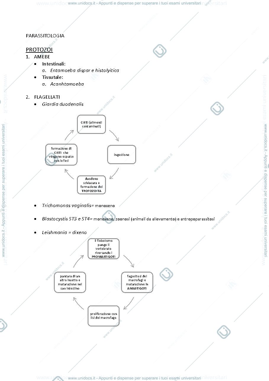 Anteprima pagina 1 — Parassitologia: CICLI DI VITA DEI PARASSITI
