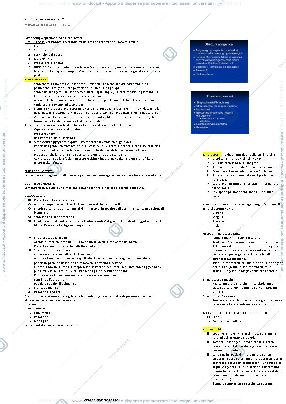 Anteprima pagina 1 — batteriologia speciale 1