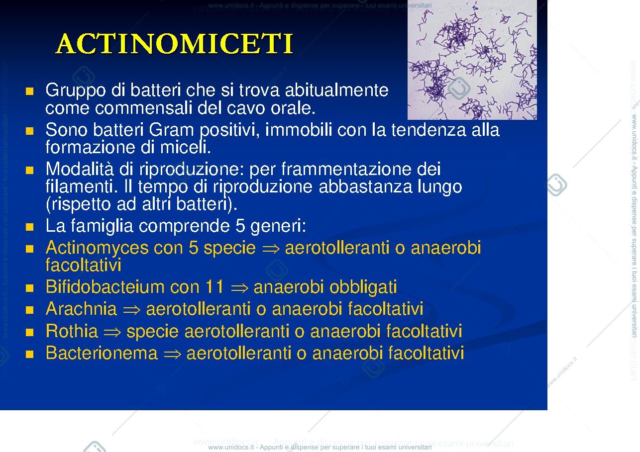 Anteprima pagina 2 — batteriologia 2