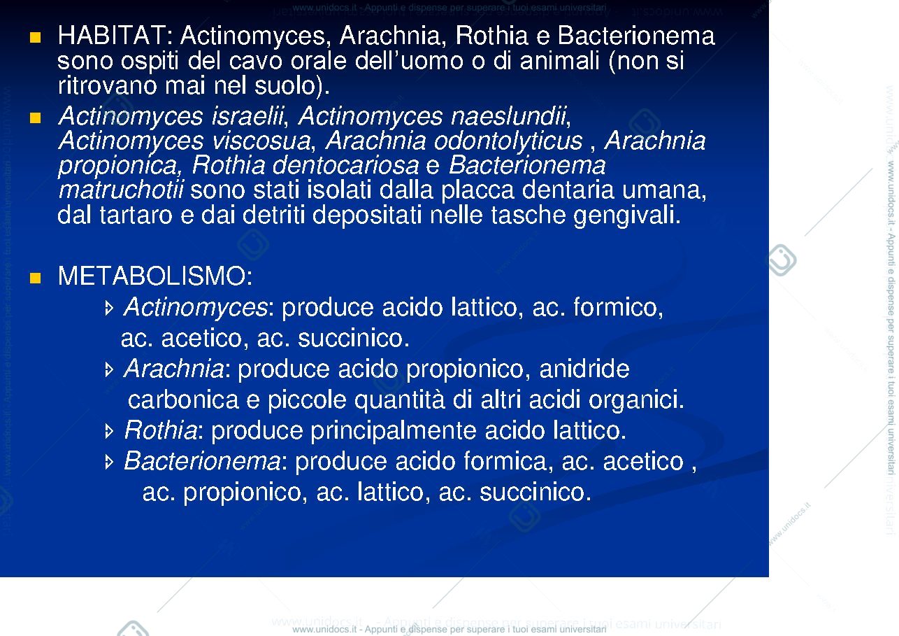 Anteprima pagina 3 — batteriologia 2