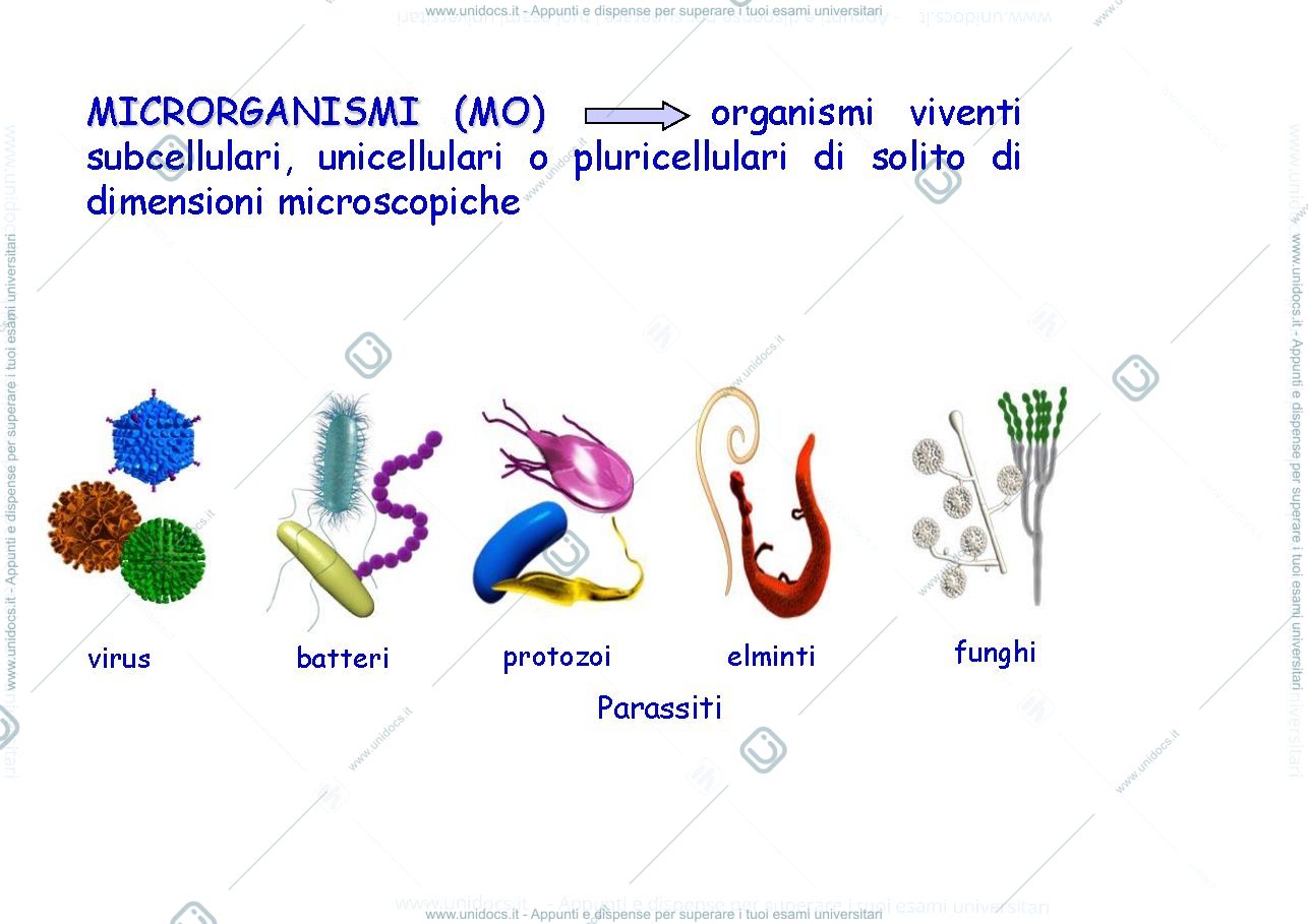 Anteprima pagina 3 — LEZIONE 0 - microbiologia