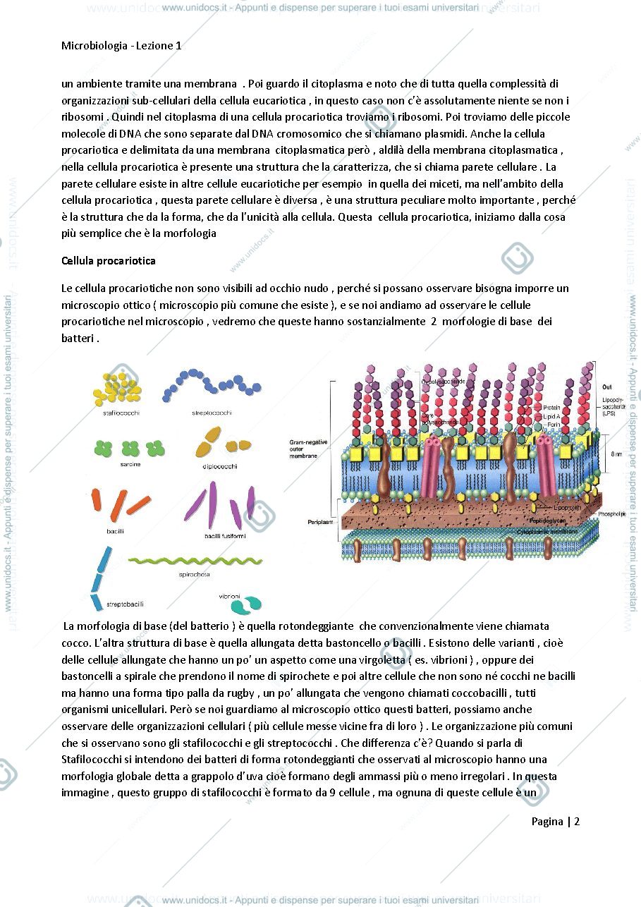 Anteprima pagina 2 — Riassunti Microbiologia