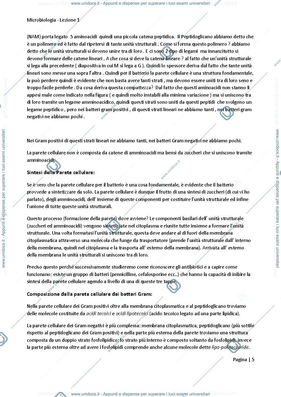 Anteprima pagina 5 — Riassunti Microbiologia