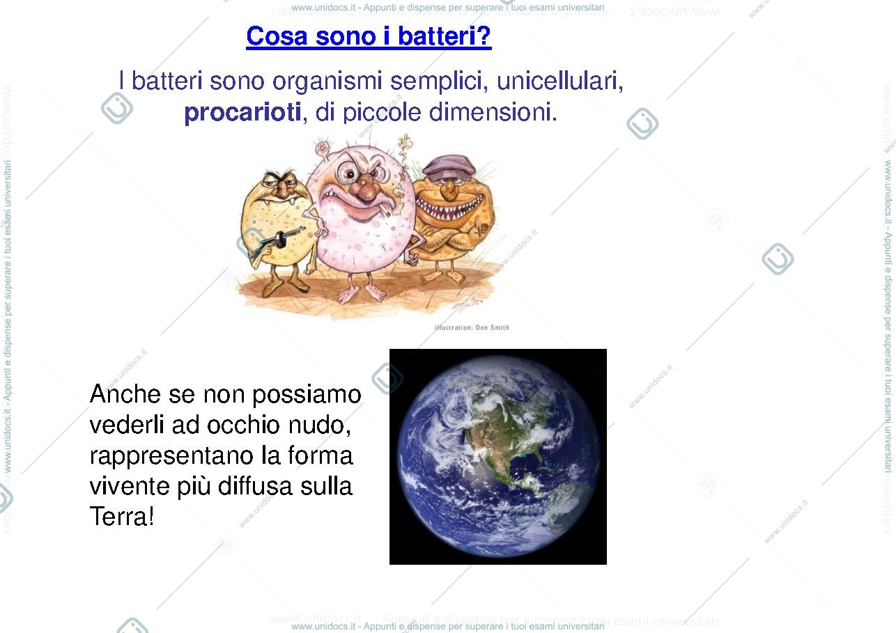 Anteprima pagina 2 — i batteri