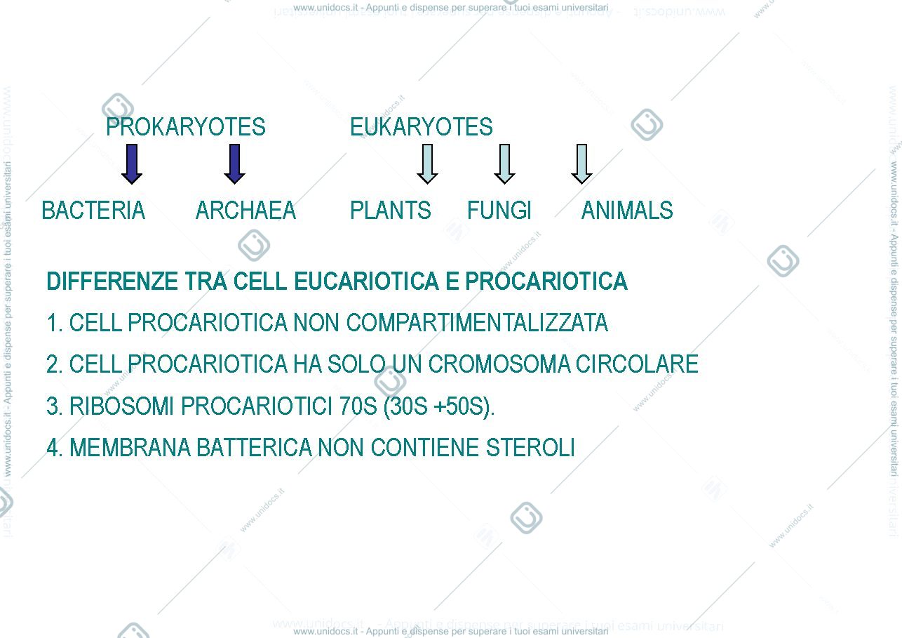 Anteprima pagina 3 — i batteri