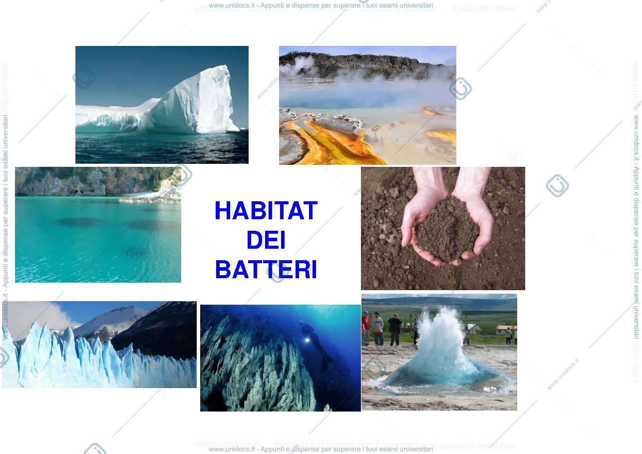 Anteprima pagina 4 — i batteri