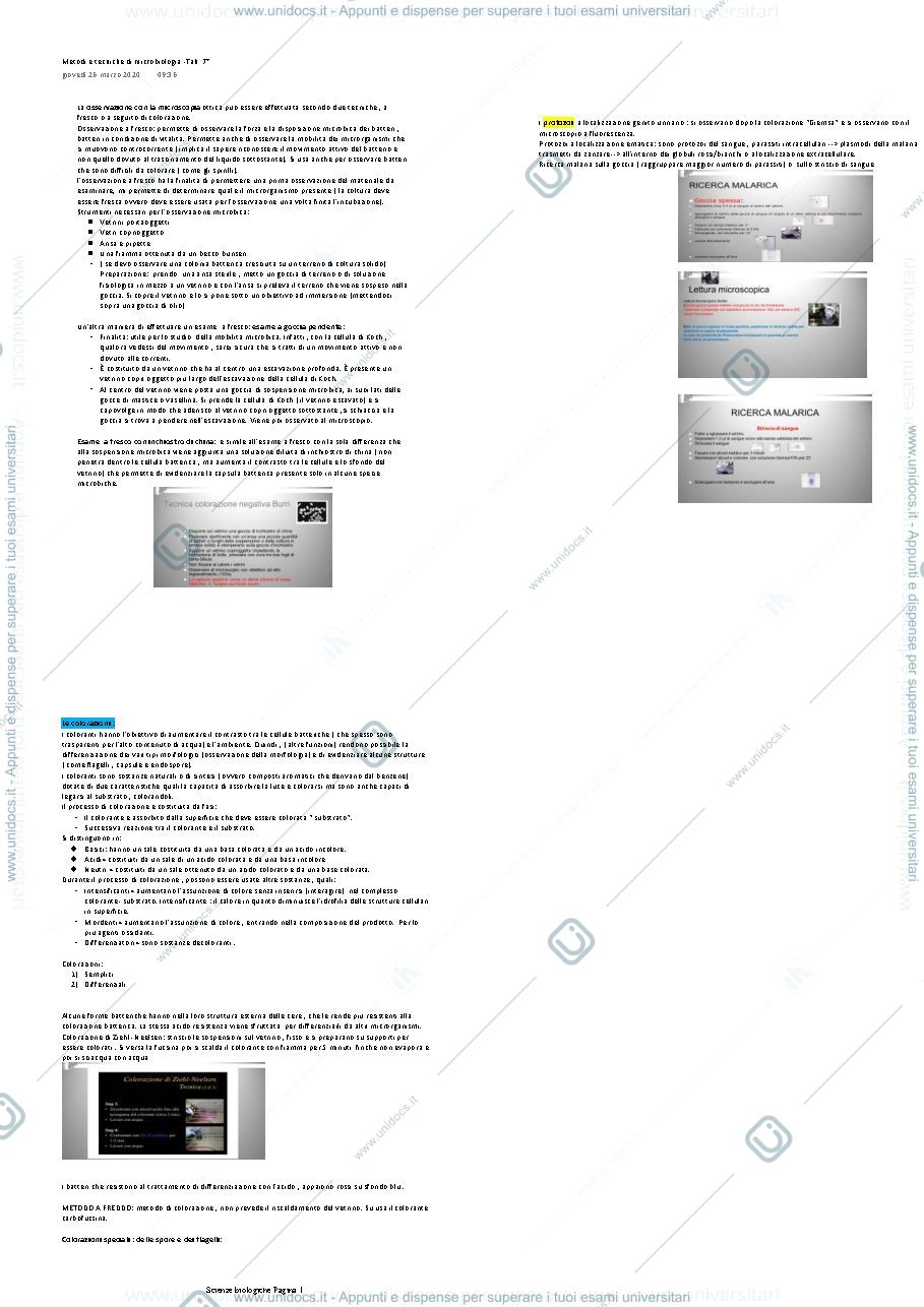 Anteprima pagina 1 — osservazione con la microscopia