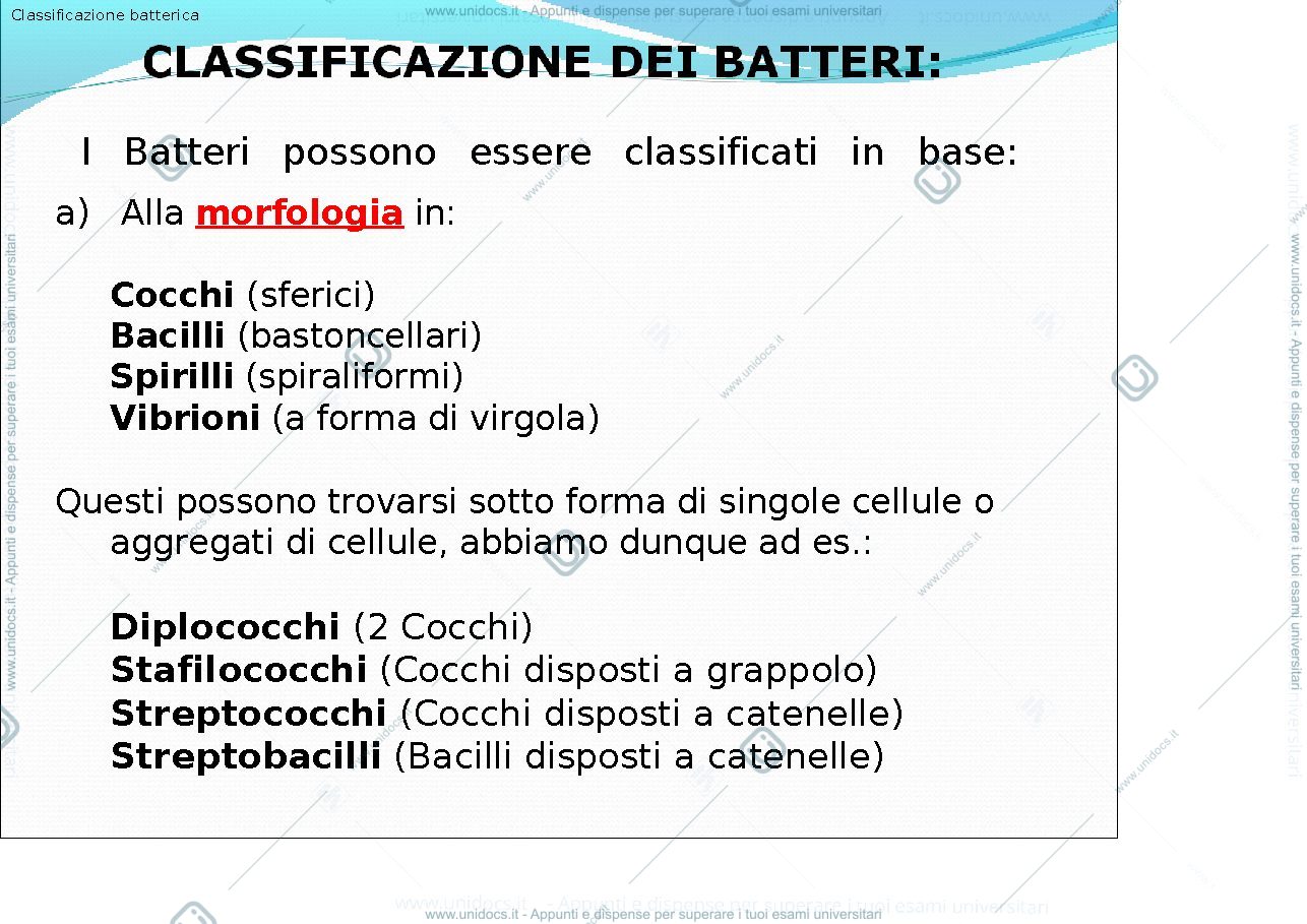 Anteprima pagina 1 — classificazione dei batteri