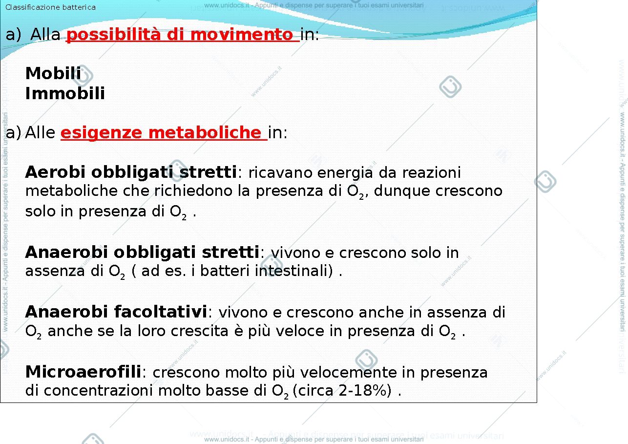 Anteprima pagina 2 — classificazione dei batteri