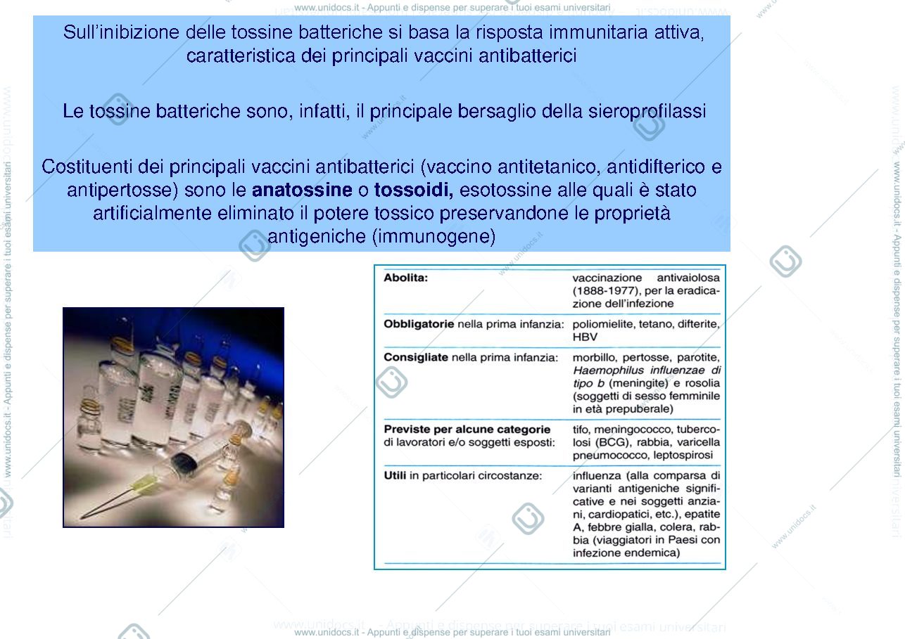 Anteprima pagina 4 — tossine batteriche