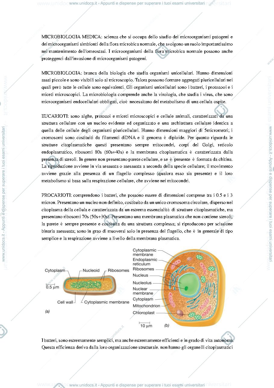 Anteprima pagina 1 — Microbiologia dispensa 