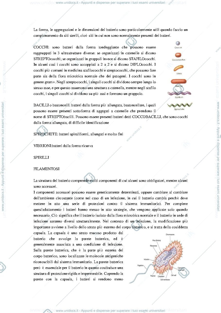 Anteprima pagina 3 — Microbiologia dispensa 