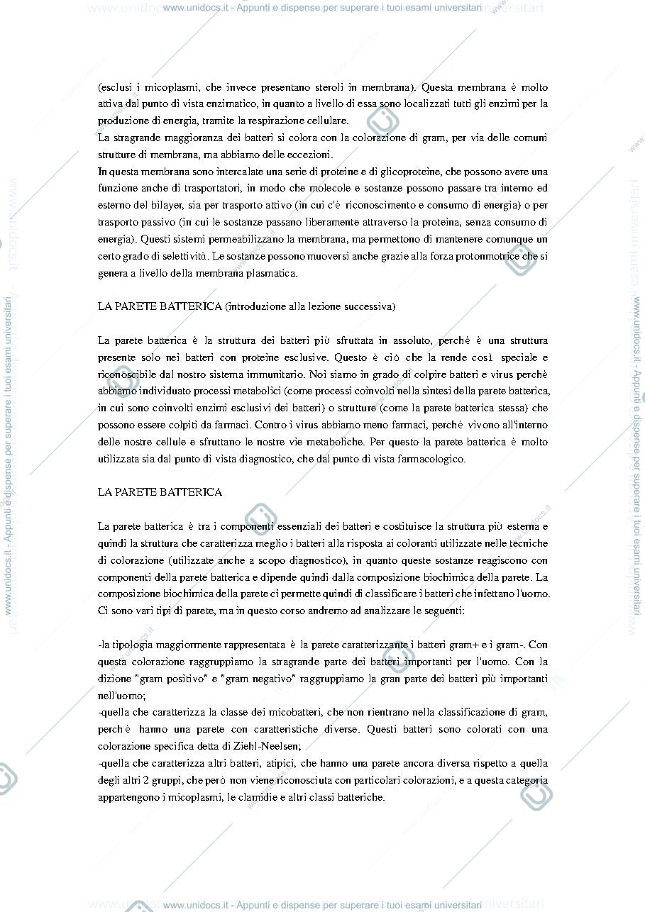 Anteprima pagina 5 — Microbiologia dispensa 