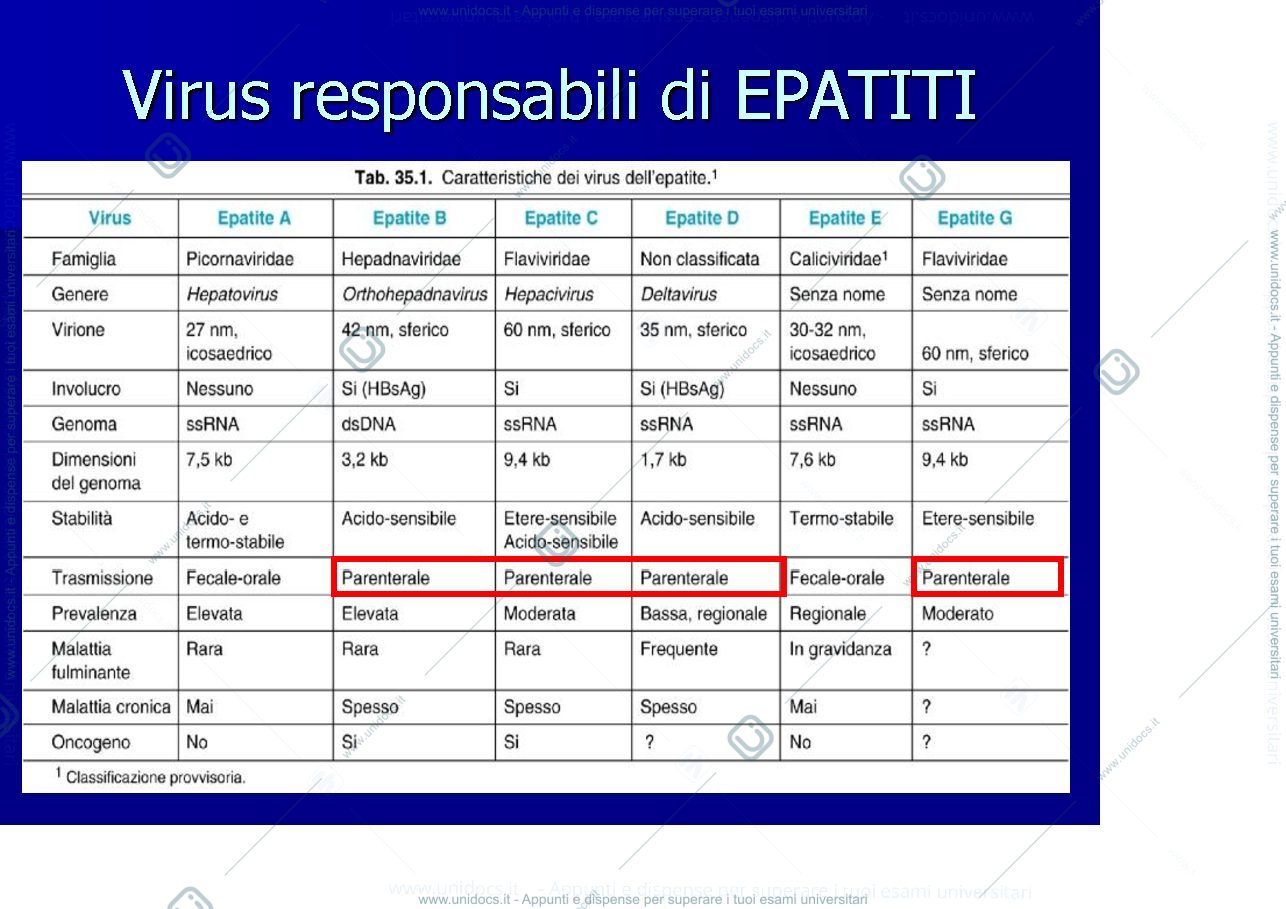 Anteprima pagina 3 — epatiti e HIV