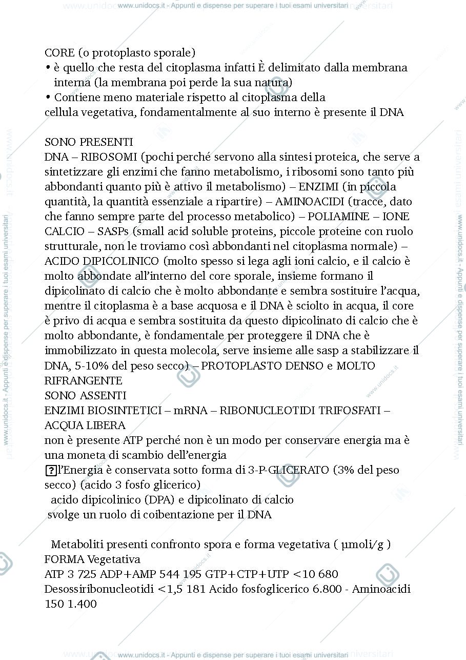 Anteprima pagina 1 — Microbiologia