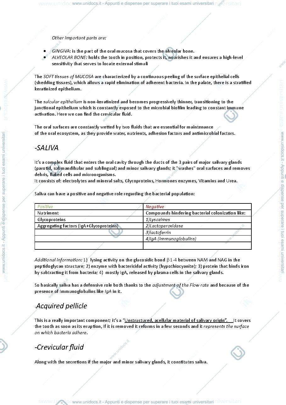 Anteprima pagina 2 — Clinical microbiology