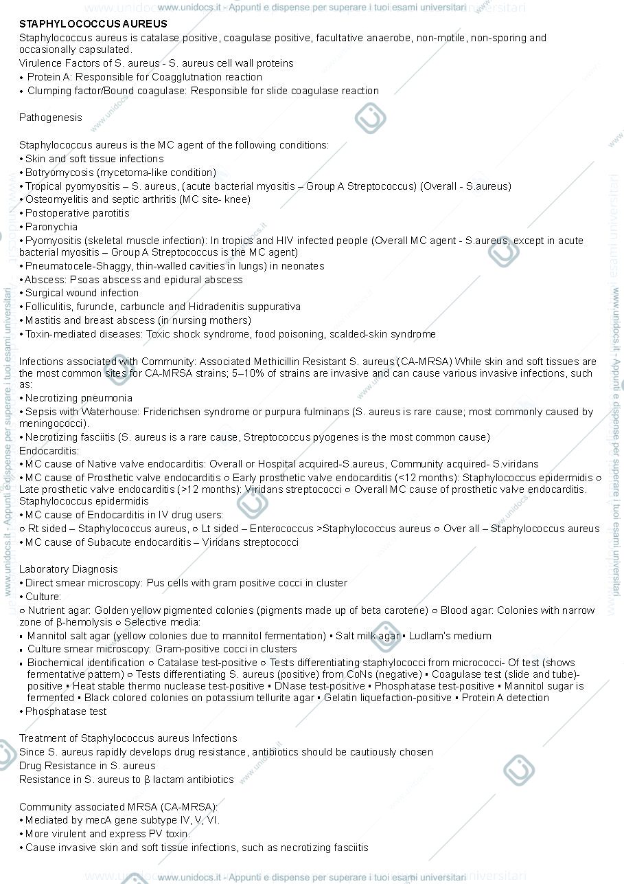 Anteprima pagina 1 — Microbiology (part 1 of 2)