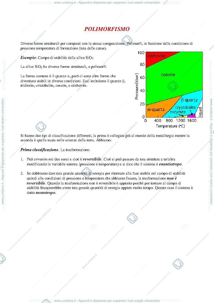 Anteprima pagina 1 — Polimorfismo