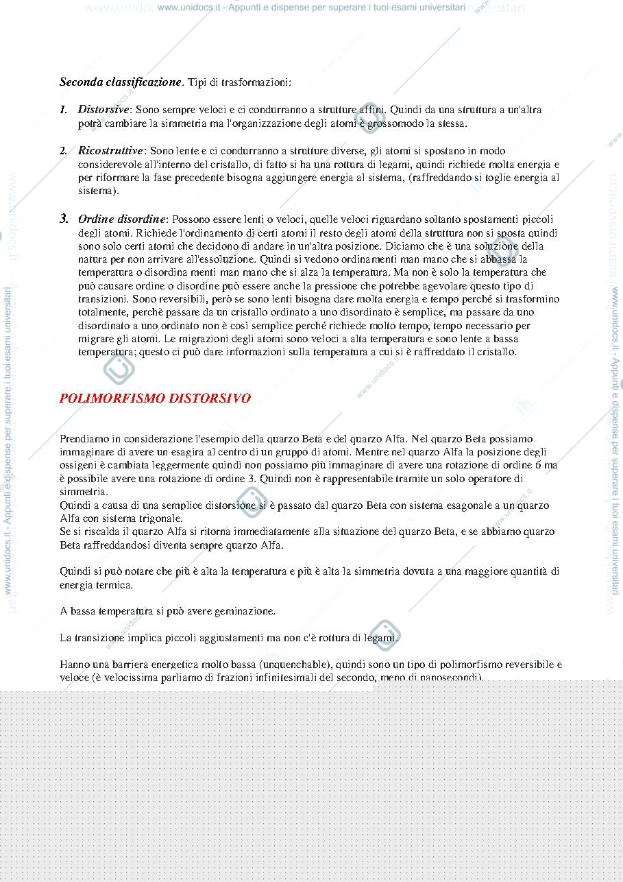 Anteprima pagina 2 — Polimorfismo