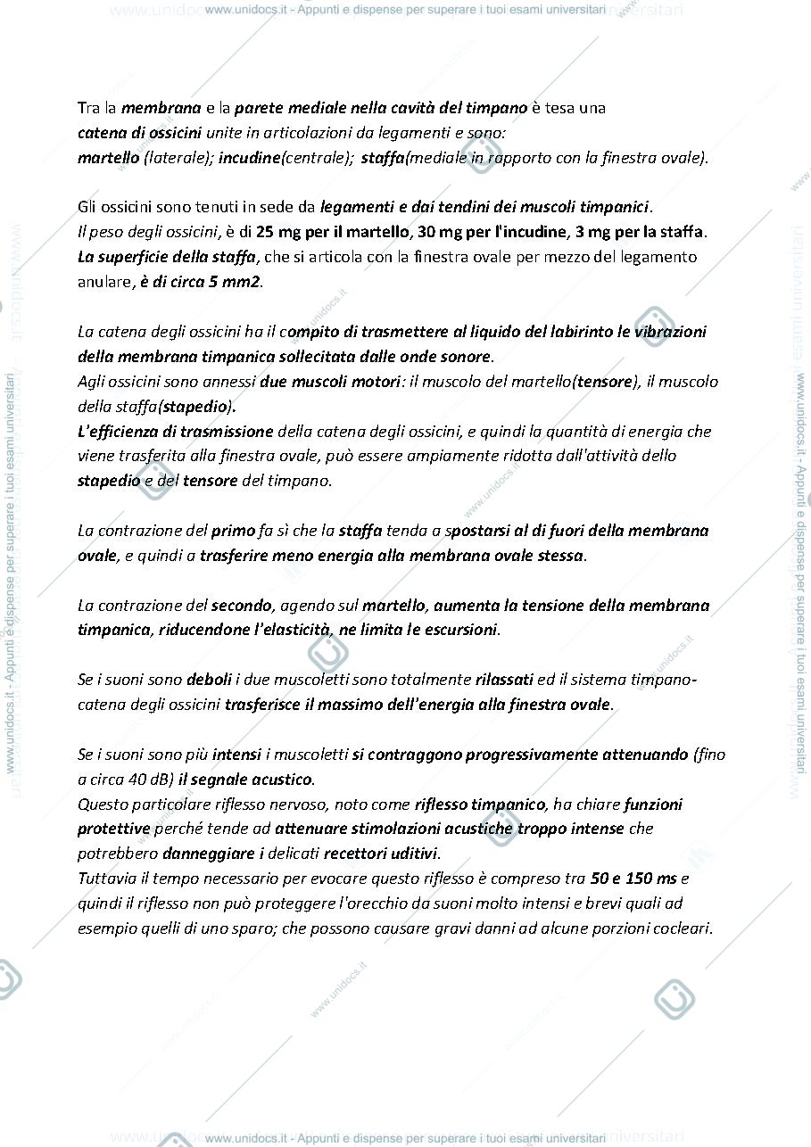 Anteprima pagina 3 — III.Anatomia,Fisiologia e Percezione Musicale