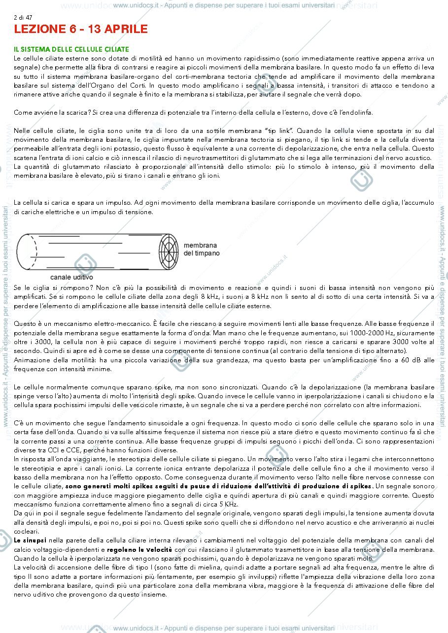 Anteprima pagina 2 — Modelli percezione musicale 
