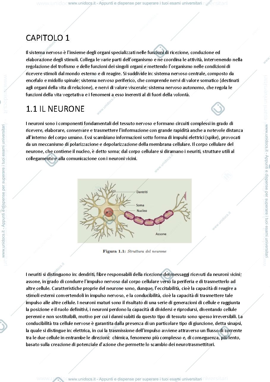 Anteprima pagina 1 — Tesina Hodgin-Huxley